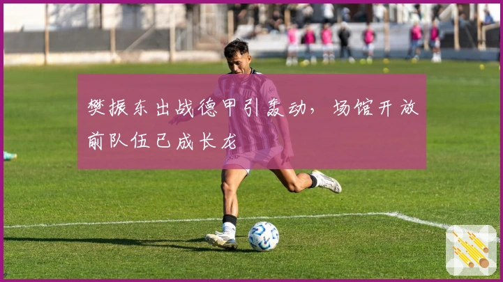 樊振东出战德甲引轰动，场馆开放前队伍已成长龙